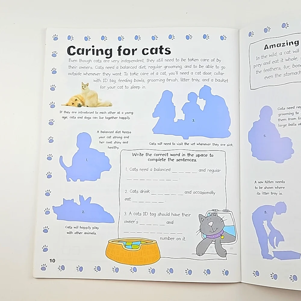Cats & Kittens Sticker Activity Book